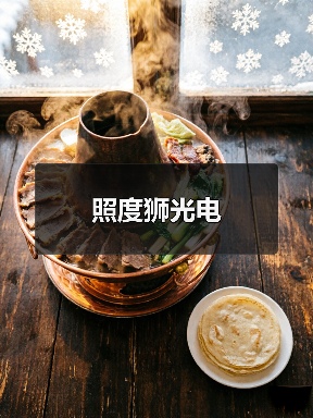 照度狮光电（图3）
