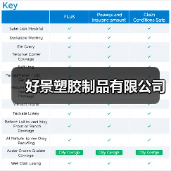 好景塑胶制品有限公司（图2）