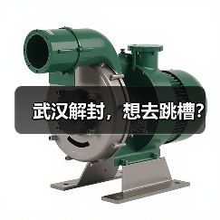 武汉解封，想去跳槽？（图2）