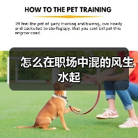 怎么在职场中混的风生水起（图3）