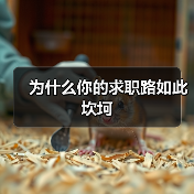 为什么你的求职路如此坎坷（图4）