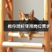 教你理解使用岗位需求（图4）