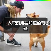 入职前所要知道的有哪些（图3）
