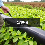 富世通（图4）