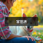 富世通（图3）