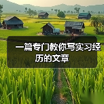 一篇专门教你写实习经历的文章(图2) 一篇专门教你写实习经历的文章(图2)