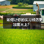 如何让你的实习经历更加高大上?(图3) 如何让你的实习经历更加高大上?(图3)
