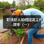 职场新人如何提高工作效率(一)(图2) 职场新人如何提高工作效率(一)(图2)