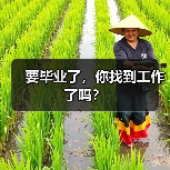 要毕业了,你找到工作了吗?(图1) 要毕业了,你找到工作了吗?(图1)