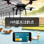 HR最关注的点（图2）