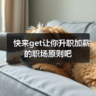 快来get让你升职加薪的职场原则吧(图4) 快来get让你升职加薪的职场原则吧(图4)