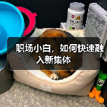 职场小白,如何快速融入新集体(图4) 职场小白,如何快速融入新集体(图4)