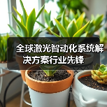 全球激光智动化系统解决方案行业先锋（图2）