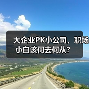 大企业PK小公司,职场小白该何去何从?(图4) 大企业PK小公司,职场小白该何去何从?(图4)