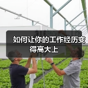 如何让你的工作经历变得高大上（图4）