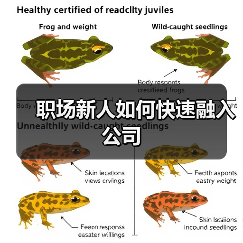 职场新人如何快速融入公司（图1）
