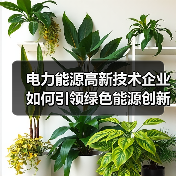 电力能源高新技术企业如何引领绿色能源创新高增长?(图2) 电力能源高新技术企业如何引领绿色能源创新高增长?(图2)