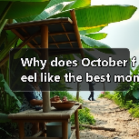 Why does October feel like the best month to explore Wuhan? Here is your complete travel breakdown(图1) Why does October feel like the best month to explore Wuhan? Here is your complete travel breakdown(图1)