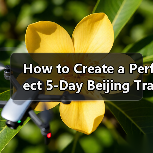 How to Create a Perfect 5-Day Beijing Travel Itinerary That Covers All the Highlights?(图1) How to Create a Perfect 5-Day Beijing Travel Itinerary That Covers All the Highlights?(图1)