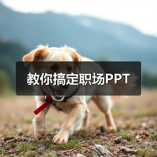 教你搞定职场PPT(图1) 教你搞定职场PPT(图1)