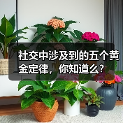 社交中涉及到的五个黄金定律,你知道么?(图4) 社交中涉及到的五个黄金定律,你知道么?(图4)