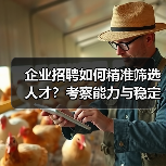 企业招聘如何精准筛选人才？考察能力与稳定性的5个方法（图3）